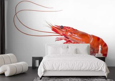 Cooked Tiger shrimp on white background,Tiger Prawn isolated on a White Background PNG file. Wall mural