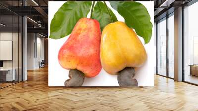 Fresh cashews and cashew nut with leafs on a white background, Fresh cashew nut on White Background With clipping path. Wall mural