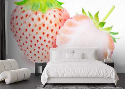 Fresh Pink strawberries isolated on pink background, Pine berry or Hula strawberry on pink Background With clipping path. Wall mural