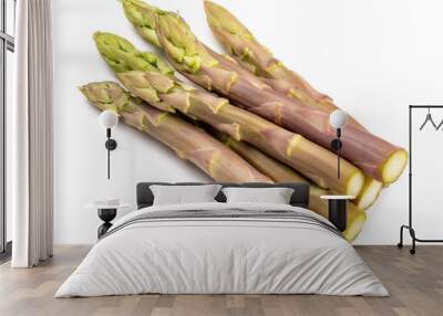 Fresh Purple raw asparagus isolated on white background, Purple asparagus food ingredients. Wall mural