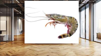 Fresh raw tiger prawns isolated on white background, Raw tiger shrimps on white with clipping path. Wall mural