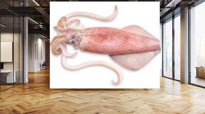 Fresh squid isolated on white background, Squid isolated on white with clipping path. Wall mural