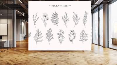 Floral branch and minimalist flowers for logo or tattoo. Hand drawn line wedding herb, elegant leaves for invitation save the date card. Botanical rustic trendy greenery Wall mural