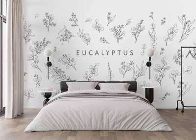 Floral branches of different types of eucalyptus, silver dollar, baby blue, blue gum, seeded. Hand drawn wedding herb with elegant leaves Wall mural