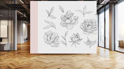 set of luxury flowers and logo. trendy botanical elements. hand drawn line leaves branches and bloom Wall mural