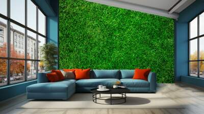 Fresh natural green grass growth on beautiful soccer park land outdoor in spring season for textured background Wall mural