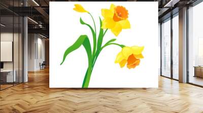 cartoon daffodil Wall mural