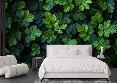 green leaves background Wall mural