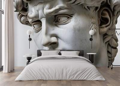 A beautiful stone stoic sculpture, statue of david portraying masculinity and stoicism. Wall mural