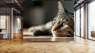 A sad striped cat with green eyes lies on the floor gazing sideways in a close up copy space image Wall mural