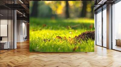 Autumn molehill in a field with lush green grass provides a serene and picturesque view ideal for capturing a beautiful shot with copy space image Wall mural