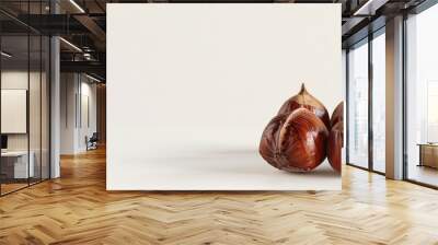 Chestnuts neatly arranged on a white background creating a simple and elegant copy space image Wall mural