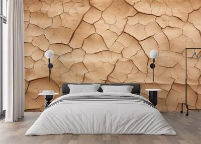 The parched earth showing cracks with space for text or graphics in the image. Wall mural