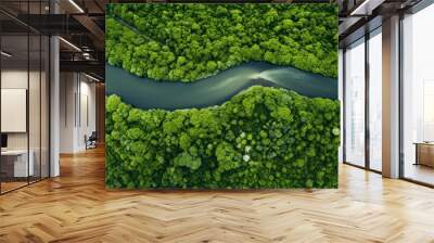 Top-down view of a meandering river cutting through a lush green landscape, showcasing the beauty of nature; ideal for a copy space image. Wall mural