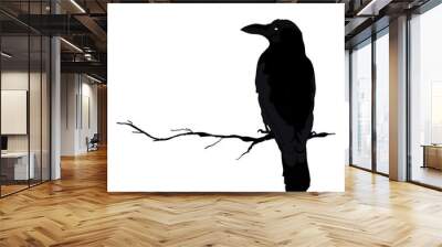 vector silhouette of a crows in different positions. vector outline. Wall mural