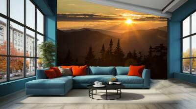 Sunset over White Mountians Wall mural