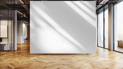 Gray window shadow and light blur abstract background on white wall, shadow overlay effect Wall mural