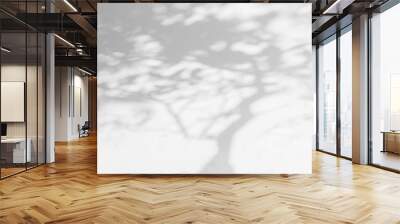 Tree shadow and light with leaves, tree trunk, branch, shadow bokeh  on white wall background Wall mural