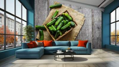 Fresh ripe organic small gherkin cucumbers in basket on wooden table, not marinated vegetable, cornichon Wall mural