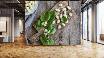 Fresh white mulberries in plate with branch on wooden background, summer fruit concept  Wall mural