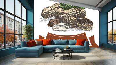 Vector colorful illustration of peanut Wall mural