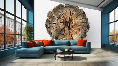 A close up of a chopped tree trunk wood, top view grungy, isolated on white background, realistic and high quality, generated by AI. Wall mural