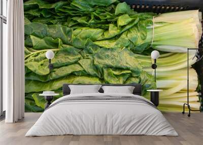 Green chard leaf. Buch of swiis chard. Green leafs. Green leafy vegetable. Beta vulgaris var. cicla Wall mural