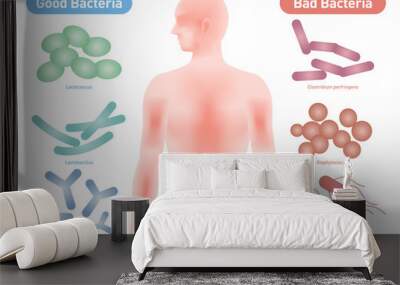 good bacteria and bad bacteria, enteric bacteria, intestinal flora, gut flora, probiotics, image ill Wall mural