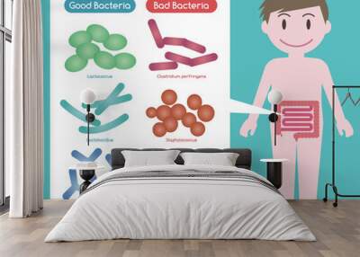 Good Bacteria and Bad Bacteria, enteric bacteria, Intestinal flora, Gut flora, probiotics, image illustration Wall mural