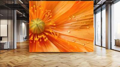 Close up of an orange Eschscholzia flower Wall mural