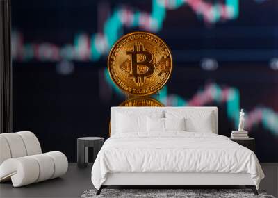 Bitcoin. Bitcoin chart background concept. Crypto money news concept idea. Cryptocurrency trading from stock market	 Wall mural