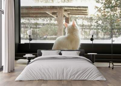 On a snowy day, white house cat watching outdoors. Wall mural