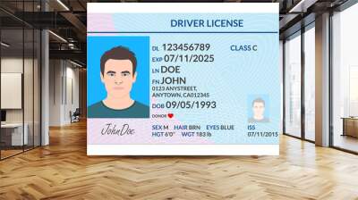 Driver license with male photo. Identification or ID card template. Vector illustration. Wall mural