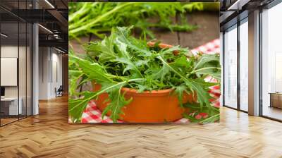 Green rucola salad in rustic bowl  Wall mural