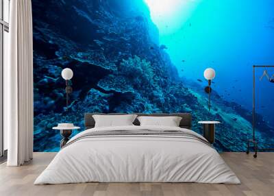 Fish on underwater coral reef Wall mural