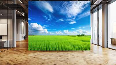 Scenic landscape of blue sky and green paddy field Wall mural