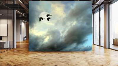 Birds Flying Wall mural