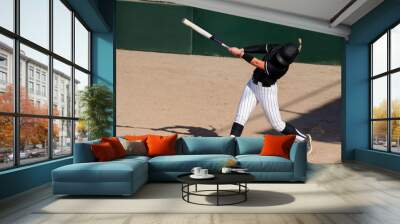 Softball Baseball Player Wall mural