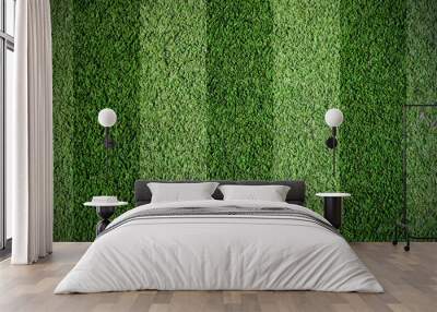 Football grass Wall mural