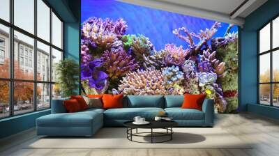 Underwater life Wall mural