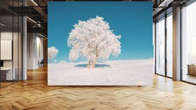 Winter landscape germany Wall mural