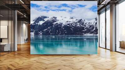 Beautiful panorama of Mountains in Alaska, United States Wall mural