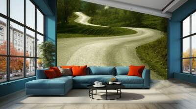 Winding road Wall mural