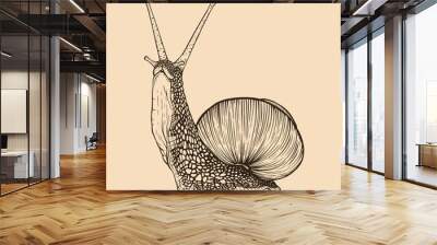 Snail hand drawn. Vintage line engraving style. Vector illustration Wall mural