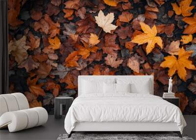 Autumn forest background with fallen leaves on the ground. Wall mural