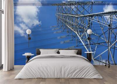 transmission lines tower Wall mural