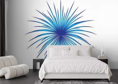 fireworks logo vector Wall mural