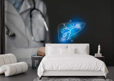 Gastroenterologist doctor, gall bladder specialist. Aesthetic handdrawn highlighted illustration of human gall bladder. Dark grey background, studio photo and collage. Wall mural