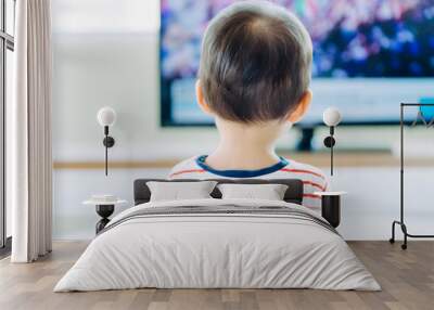 Back view of young boy is watching a television screen.Concept for a tv effect on children or a communication concept. Wall mural