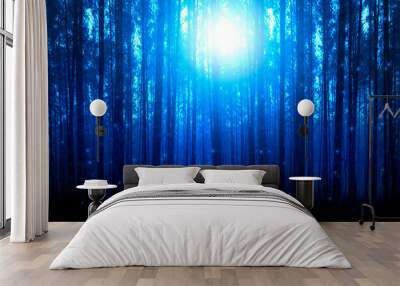 Dark forest, blue fog, dark dark background, moon blue light in the forest. Wall mural